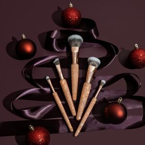 ✨️LYS Brush Set✨️